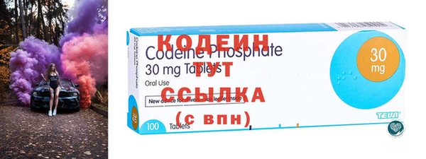 индика Володарск