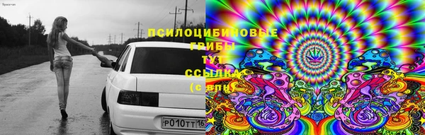 спайс Грязовец