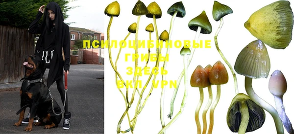 ешки Грязи