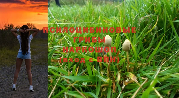 прущая мука Волоколамск