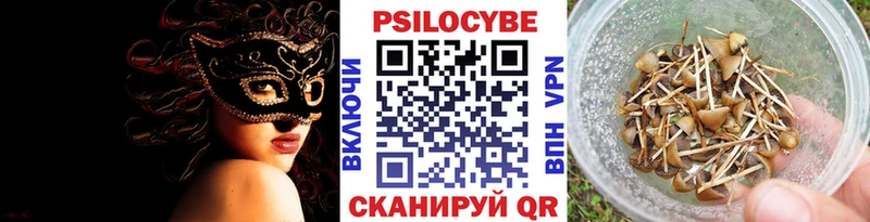 Псилоцибиновые грибы Cubensis  купить наркотики цена  Камбарка 